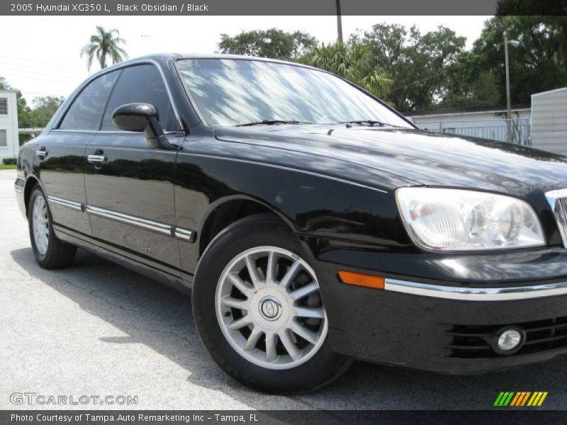 Black Obsidian / Black 2005 Hyundai XG350 L