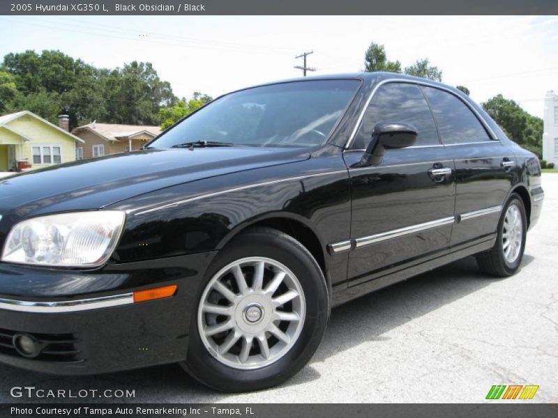 Black Obsidian / Black 2005 Hyundai XG350 L
