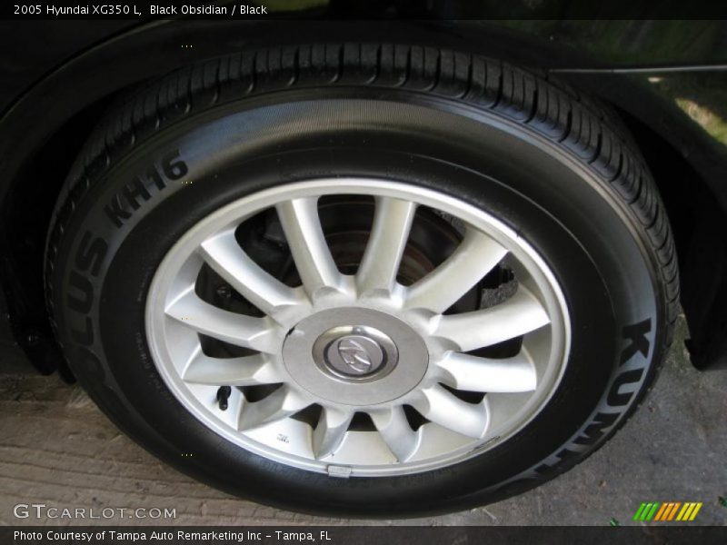 Black Obsidian / Black 2005 Hyundai XG350 L
