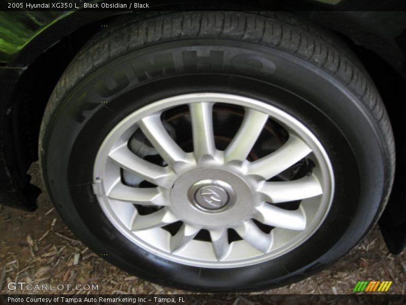 Black Obsidian / Black 2005 Hyundai XG350 L