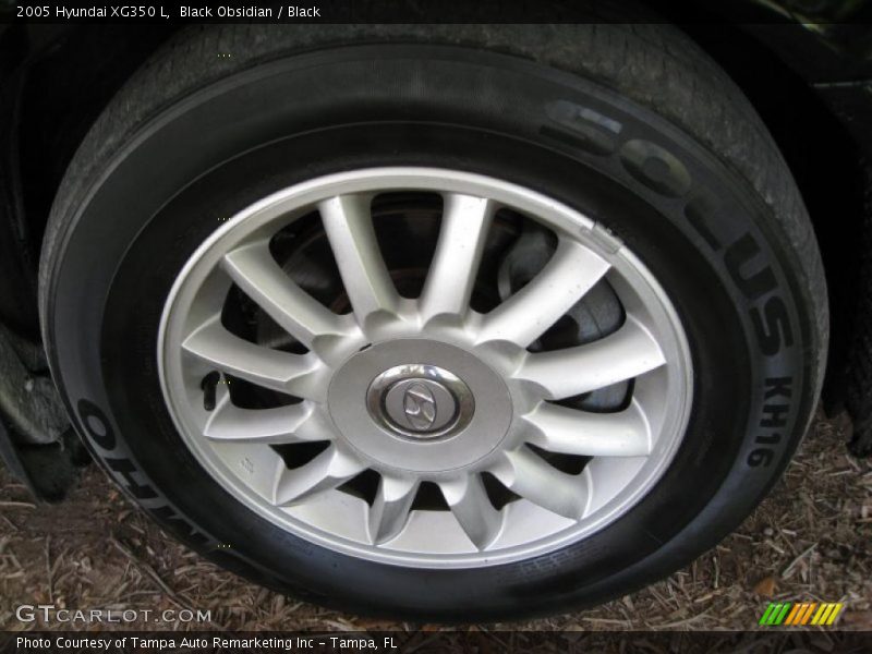 Black Obsidian / Black 2005 Hyundai XG350 L