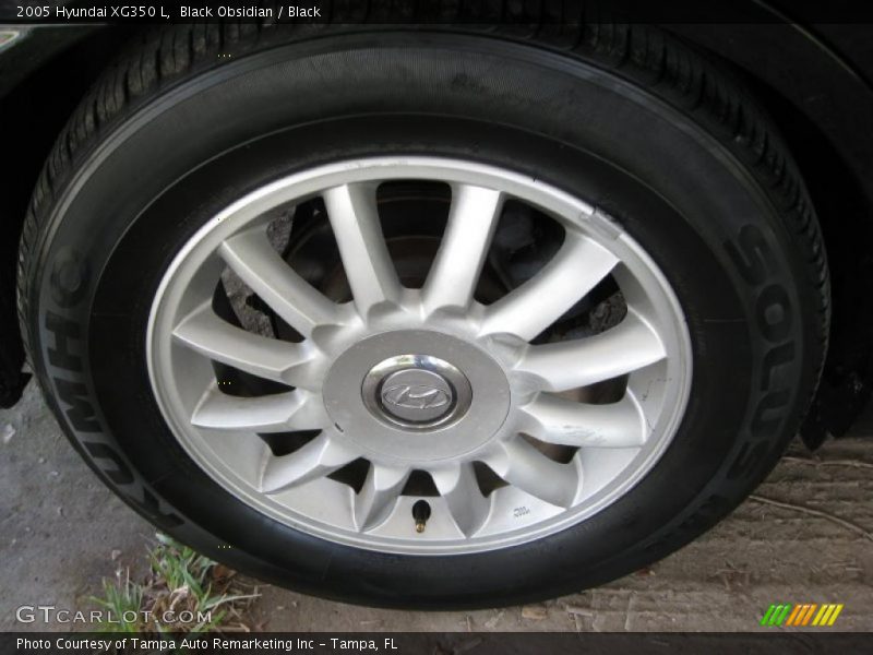 Black Obsidian / Black 2005 Hyundai XG350 L