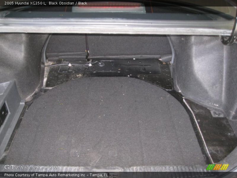 Black Obsidian / Black 2005 Hyundai XG350 L
