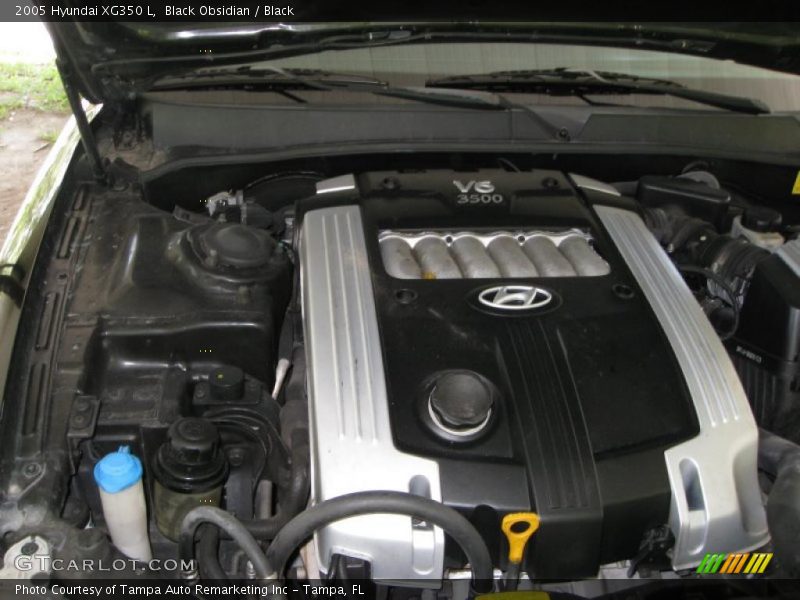 Black Obsidian / Black 2005 Hyundai XG350 L