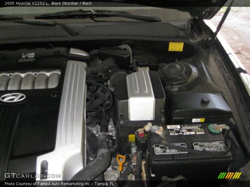 Black Obsidian / Black 2005 Hyundai XG350 L