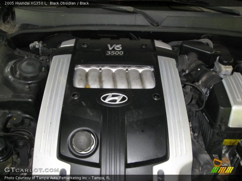 Black Obsidian / Black 2005 Hyundai XG350 L