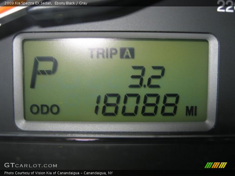 Ebony Black / Gray 2009 Kia Spectra EX Sedan