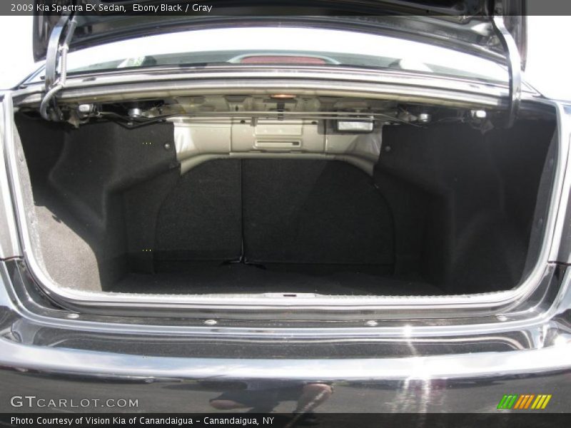 Ebony Black / Gray 2009 Kia Spectra EX Sedan
