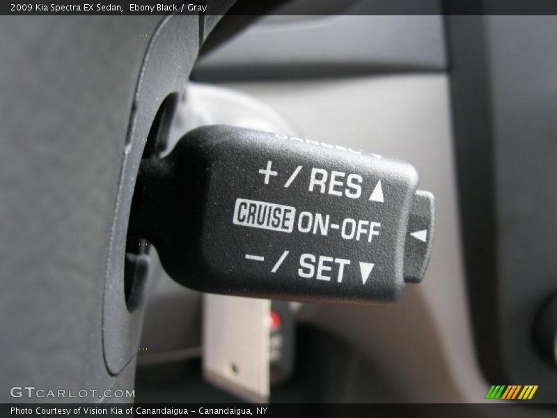 Ebony Black / Gray 2009 Kia Spectra EX Sedan