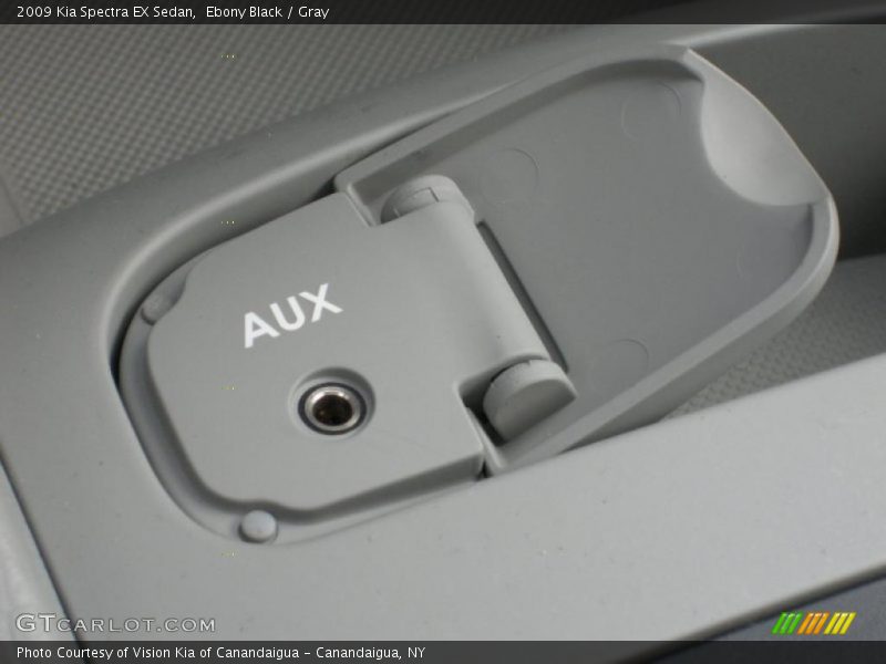 Ebony Black / Gray 2009 Kia Spectra EX Sedan