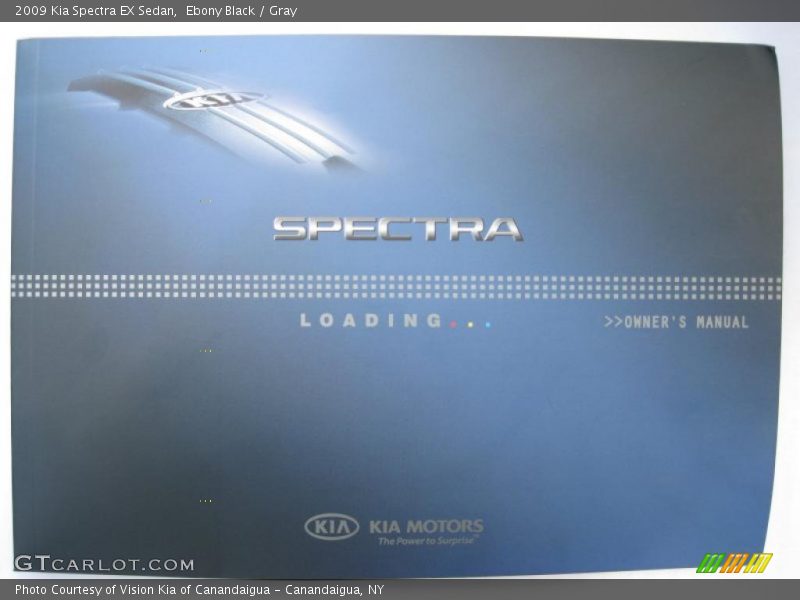 Ebony Black / Gray 2009 Kia Spectra EX Sedan