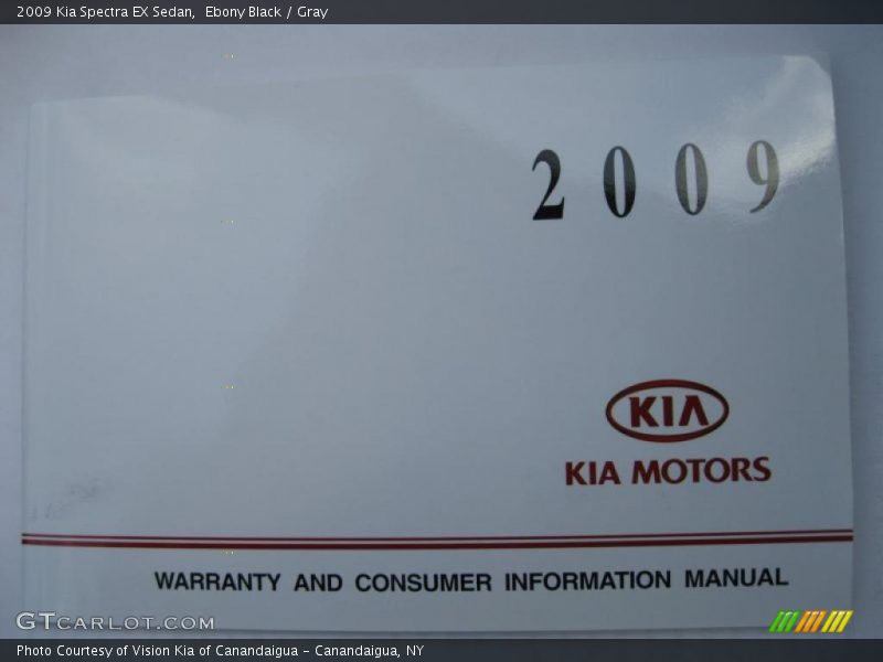 Ebony Black / Gray 2009 Kia Spectra EX Sedan