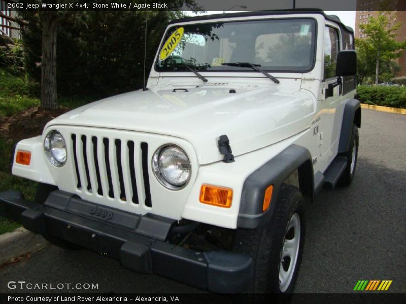 Stone White / Agate Black 2002 Jeep Wrangler X 4x4
