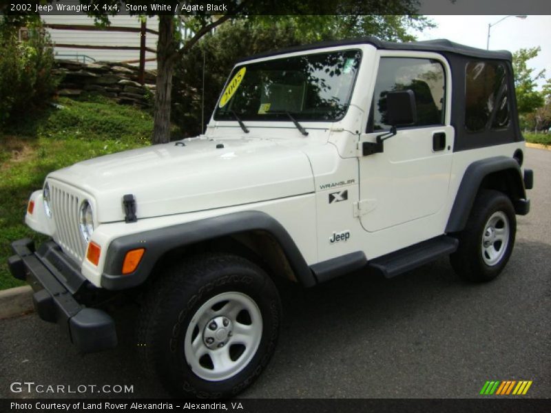 Stone White / Agate Black 2002 Jeep Wrangler X 4x4