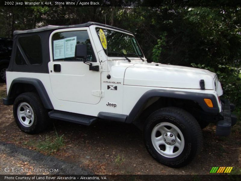 Stone White / Agate Black 2002 Jeep Wrangler X 4x4