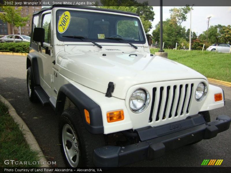 Stone White / Agate Black 2002 Jeep Wrangler X 4x4