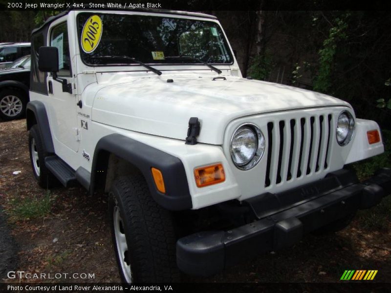Stone White / Agate Black 2002 Jeep Wrangler X 4x4