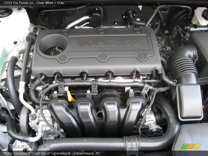 Clear White / Gray 2009 Kia Rondo LX