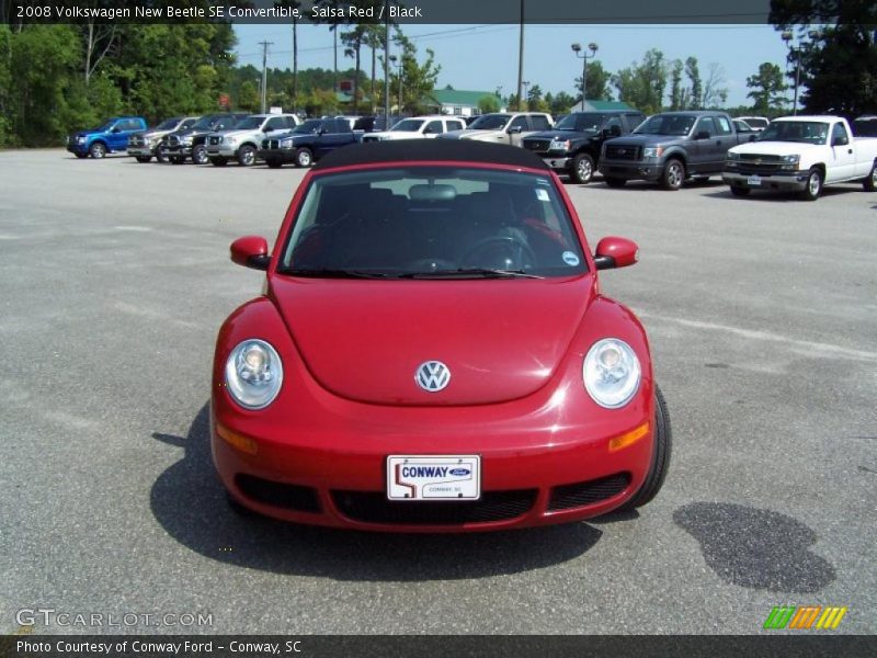 Salsa Red / Black 2008 Volkswagen New Beetle SE Convertible