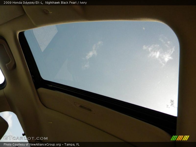 Nighthawk Black Pearl / Ivory 2009 Honda Odyssey EX-L