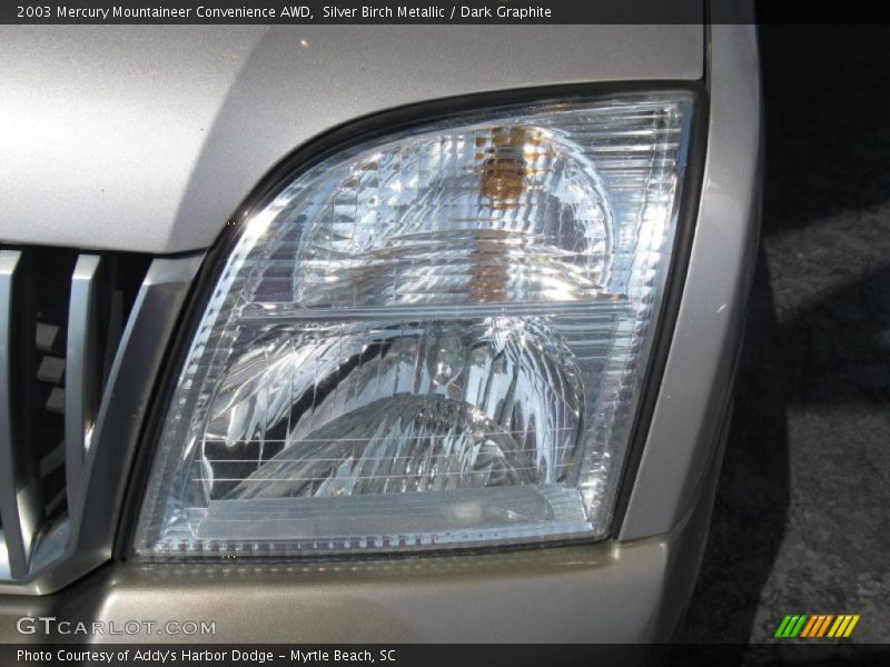 Silver Birch Metallic / Dark Graphite 2003 Mercury Mountaineer Convenience AWD
