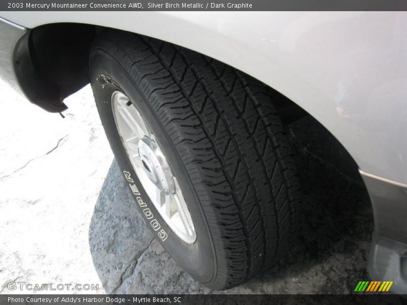 Silver Birch Metallic / Dark Graphite 2003 Mercury Mountaineer Convenience AWD