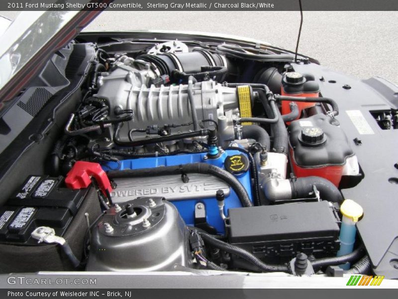 Sterling Gray Metallic / Charcoal Black/White 2011 Ford Mustang Shelby GT500 Convertible