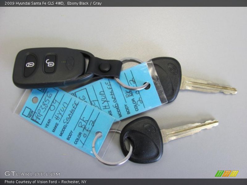Ebony Black / Gray 2009 Hyundai Santa Fe GLS 4WD