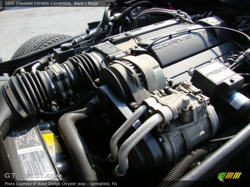 Black / Beige 1995 Chevrolet Corvette Convertible