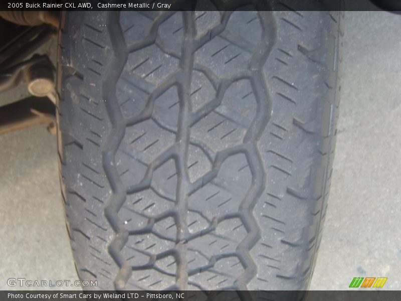 Cashmere Metallic / Gray 2005 Buick Rainier CXL AWD