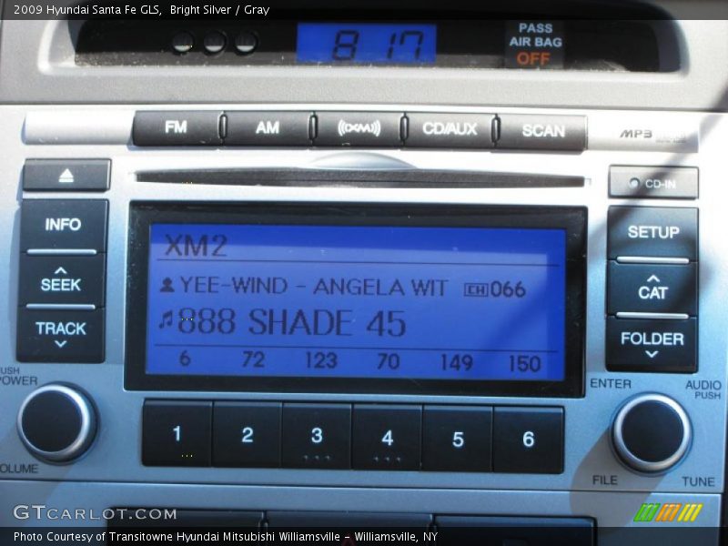 Bright Silver / Gray 2009 Hyundai Santa Fe GLS