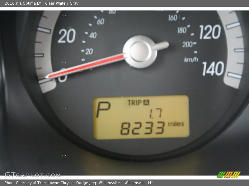 Clear White / Gray 2010 Kia Optima LX