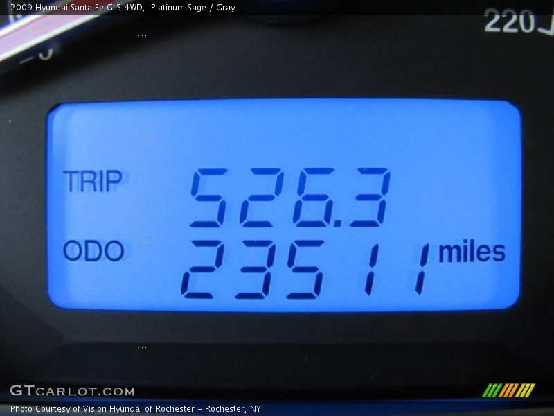 Platinum Sage / Gray 2009 Hyundai Santa Fe GLS 4WD