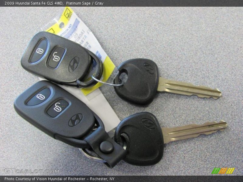 Platinum Sage / Gray 2009 Hyundai Santa Fe GLS 4WD