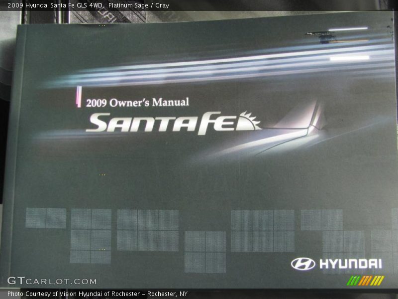 Platinum Sage / Gray 2009 Hyundai Santa Fe GLS 4WD