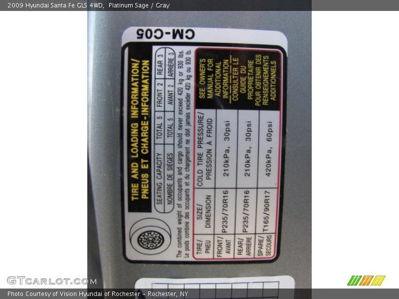 Platinum Sage / Gray 2009 Hyundai Santa Fe GLS 4WD