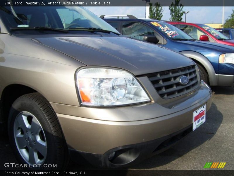 Arizona Beige Metallic / Pebble Beige 2005 Ford Freestar SES