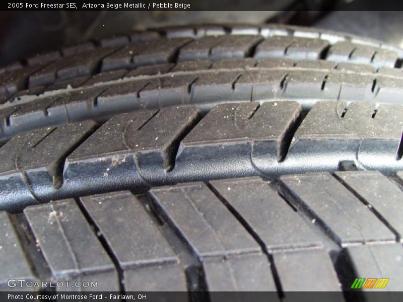 Arizona Beige Metallic / Pebble Beige 2005 Ford Freestar SES