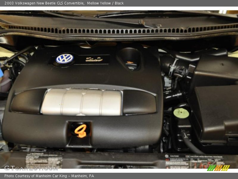Mellow Yellow / Black 2003 Volkswagen New Beetle GLS Convertible