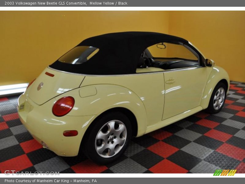 Mellow Yellow / Black 2003 Volkswagen New Beetle GLS Convertible