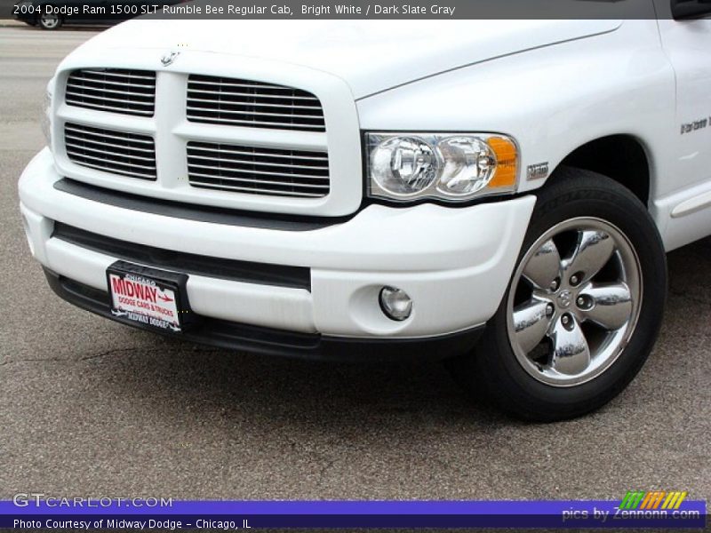 Bright White / Dark Slate Gray 2004 Dodge Ram 1500 SLT Rumble Bee Regular Cab