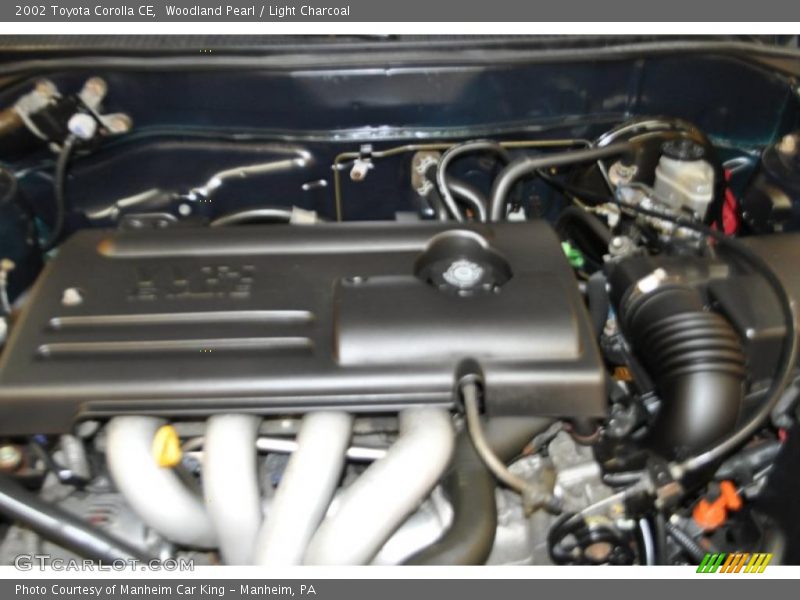 Woodland Pearl / Light Charcoal 2002 Toyota Corolla CE