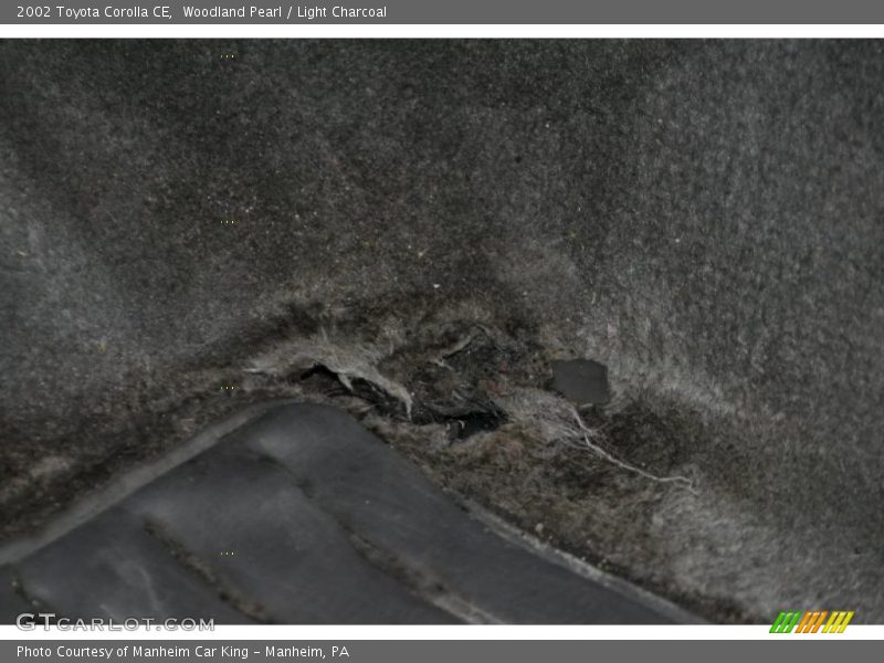 Woodland Pearl / Light Charcoal 2002 Toyota Corolla CE