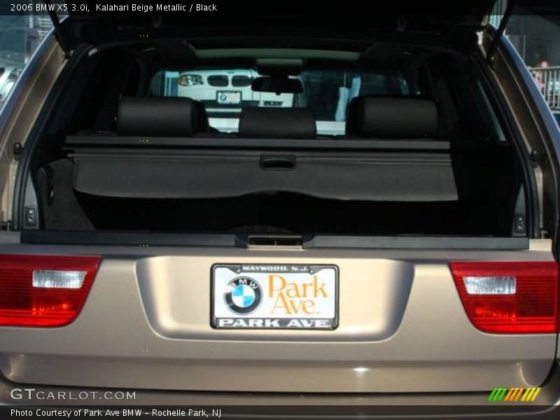 Kalahari Beige Metallic / Black 2006 BMW X5 3.0i