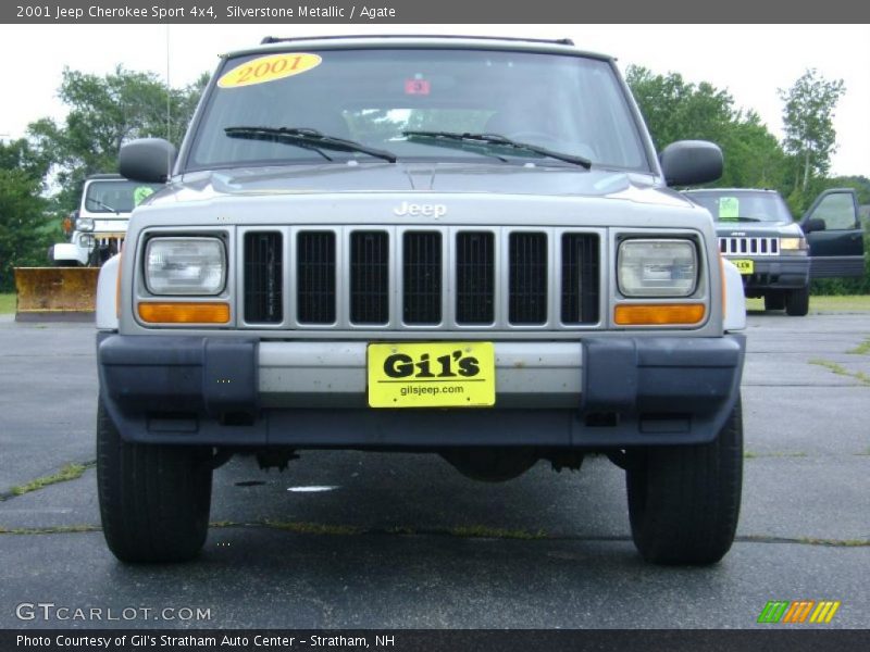 Silverstone Metallic / Agate 2001 Jeep Cherokee Sport 4x4