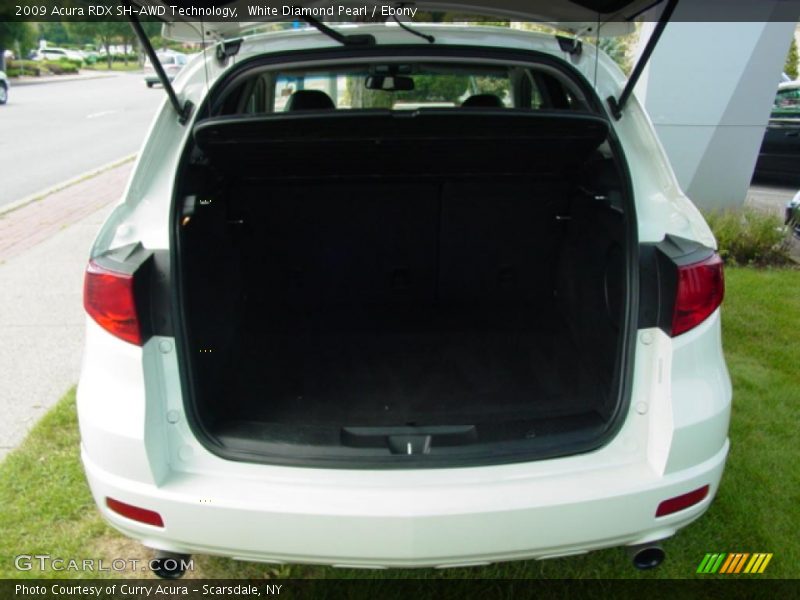 White Diamond Pearl / Ebony 2009 Acura RDX SH-AWD Technology