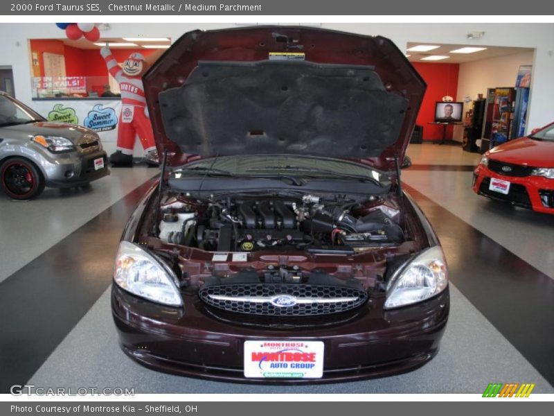Chestnut Metallic / Medium Parchment 2000 Ford Taurus SES