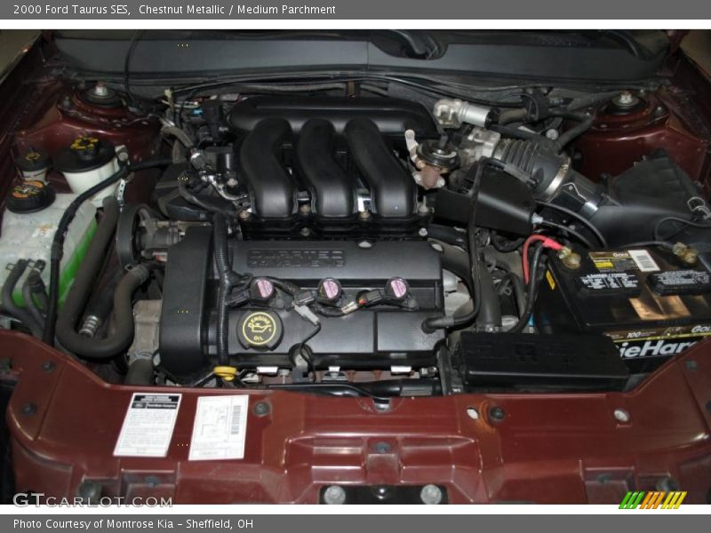 Chestnut Metallic / Medium Parchment 2000 Ford Taurus SES