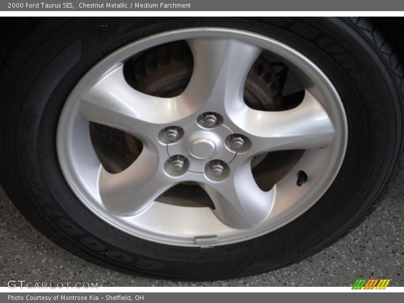 Chestnut Metallic / Medium Parchment 2000 Ford Taurus SES