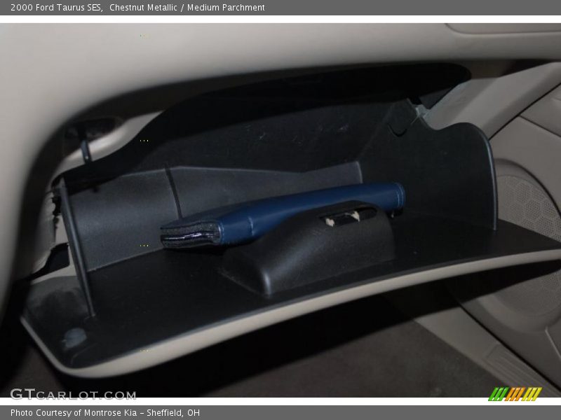 Chestnut Metallic / Medium Parchment 2000 Ford Taurus SES